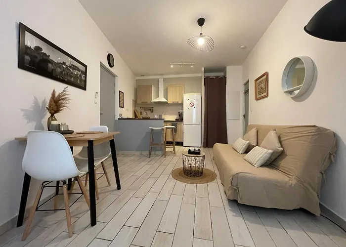 Joli Appartement Hypercentre T2, Classe Meuble De Tourisme 3 Avec Parking Gratuit