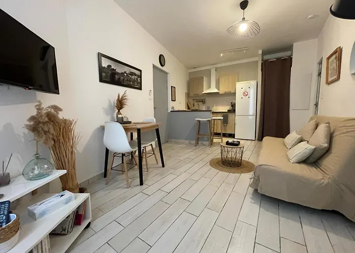 Joli Appartement Hypercentre T2, Classe Meuble De Tourisme 3 Avec Parking Gratuit