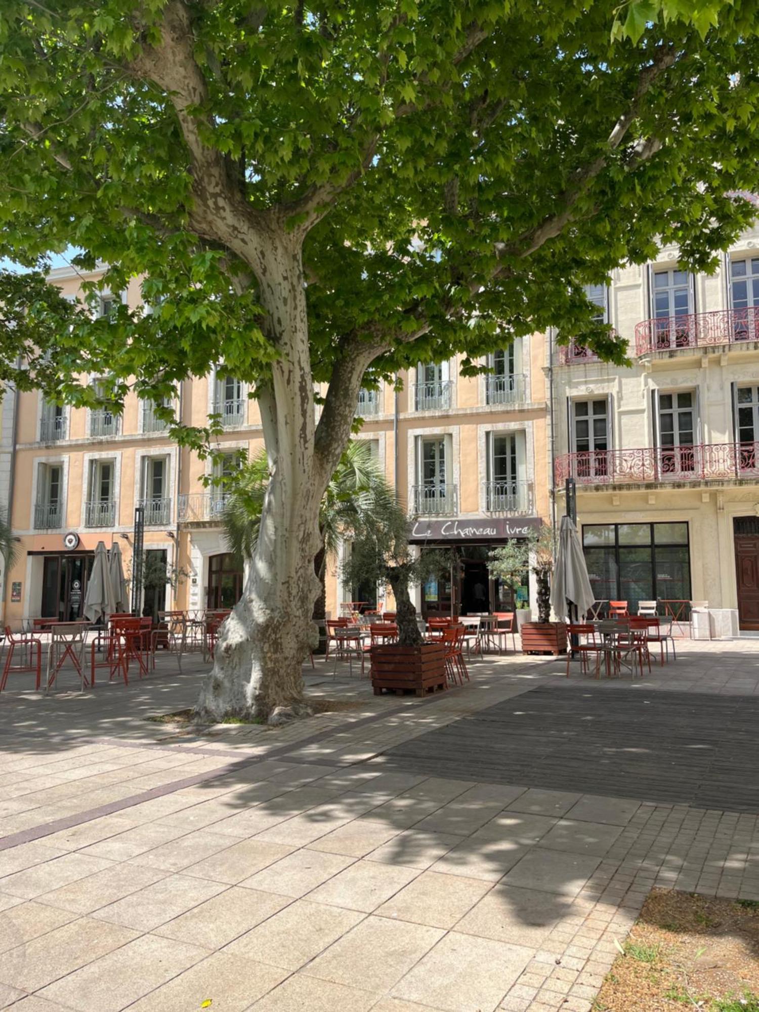 Joli Hypercentre T2 Avec Parking Gratuit Appartement Béziers